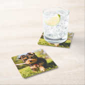 かわいい犬のコースター9 スクエアペーパーコースター (インサイチュ)