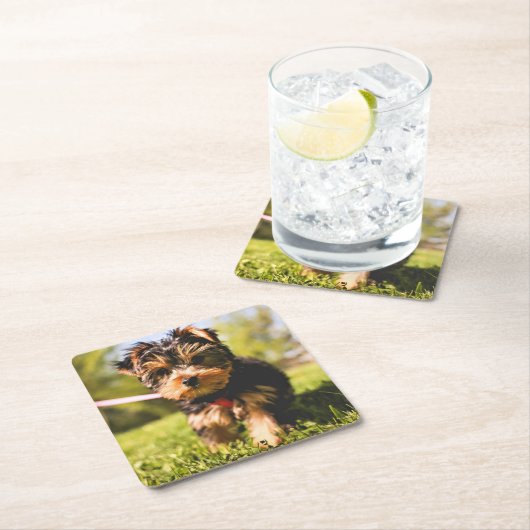 かわいい犬のコースター9 スクエアペーパーコースター (インサイチュ)