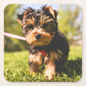 かわいい犬のコースター9 スクエアペーパーコースター (正面)