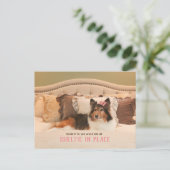 かわいい犬のシェルターinプレイス |シェットランド・ シープドッグはがき ポストカード (スタンド正面)