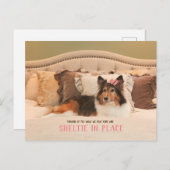 かわいい犬のシェルターinプレイス |シェットランド・ シープドッグはがき ポストカード (正面/裏面)