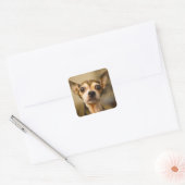 かわいい犬のステッカー10 スクエアシール (封筒)