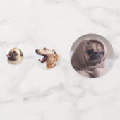 かわいい犬のテーブル紙吹雪 コンフェッティ (正面)