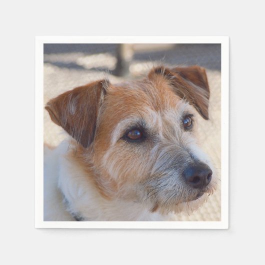 かわいい犬のナプキン スタンダードカクテルナプキン (正面)