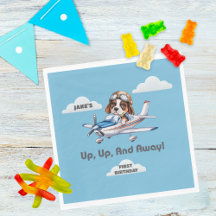 かわいい犬のパイロットが飛行機を操縦する男の子1歳の誕生日