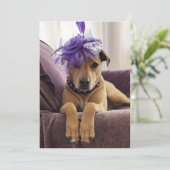 かわいい犬のフォトカードドファンシーレス サンキューカード (スタンド正面)