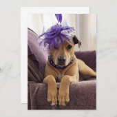 かわいい犬のフォトカードドファンシーレス サンキューカード (正面/裏面)