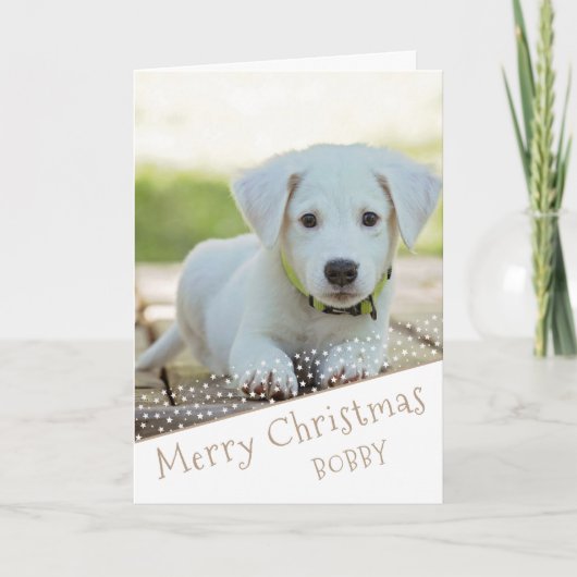 かわいい犬のペットの写真スターメリークリスマス シーズンカード (正面)