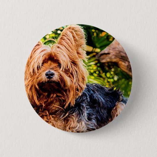 かわいい犬のペットヨーキーの平和愛の運命楽しいアート 缶バッジ (正面)
