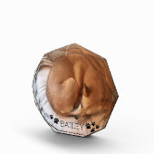 かわいい犬のペット写真の名前、ペットの宝石 フォトブロック (右)