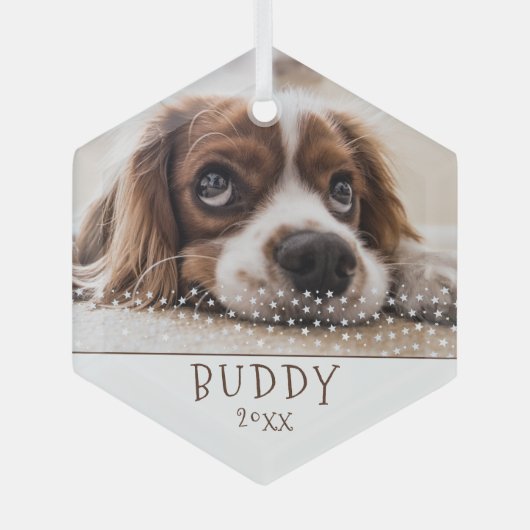 かわいい犬のペット写真ホワイトスタークリスマス ガラスオーナメント (正面)