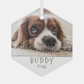 かわいい犬のペット写真 白い星 クリスマス ガラスオーナメント (正面)