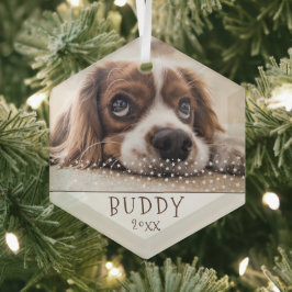 かわいい犬のペット写真 白い星 クリスマス ガラスオーナメント