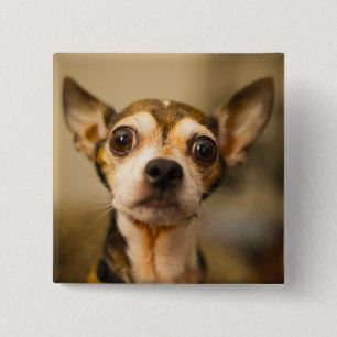 かわいい犬のボタン10 缶バッジ