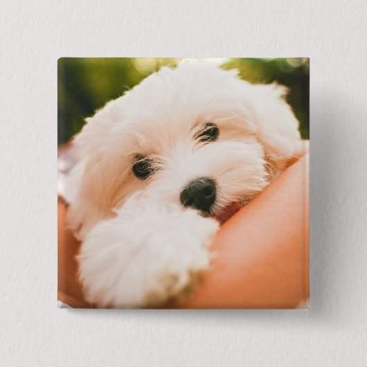 かわいい犬のボタン9 缶バッジ (正面)