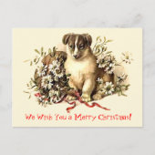 かわいい犬のメリークリスマスのカードおよび郵便はがき シーズンポストカード (正面)