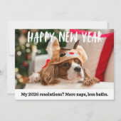 かわいい犬のユーモアあふれるペット新年の写真 シーズンカード (正面)