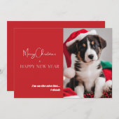 かわいい犬の写真のホリデーカード シーズンカード (正面/裏面)