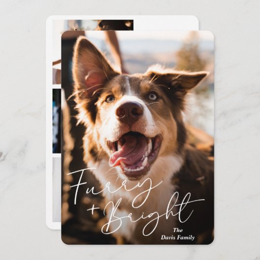 かわいい犬の写真のモダンクリスマス シーズンカード (正面/裏面)