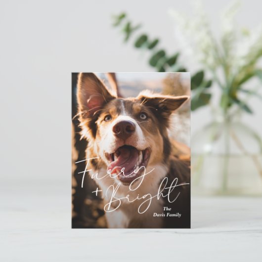 かわいい犬の写真のモダンクリスマス シーズンポストカード (スタンド正面)