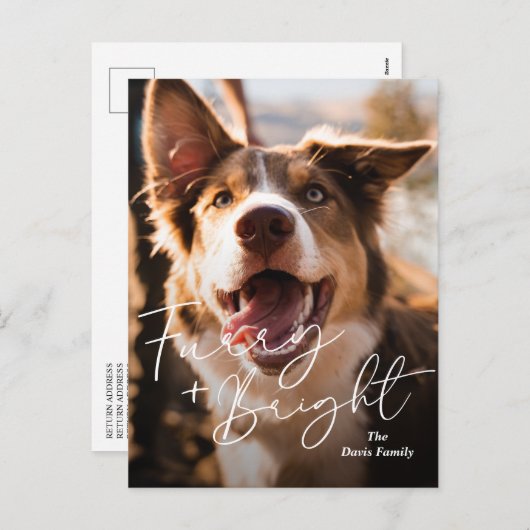 かわいい犬の写真のモダンクリスマス シーズンポストカード (正面/裏面)