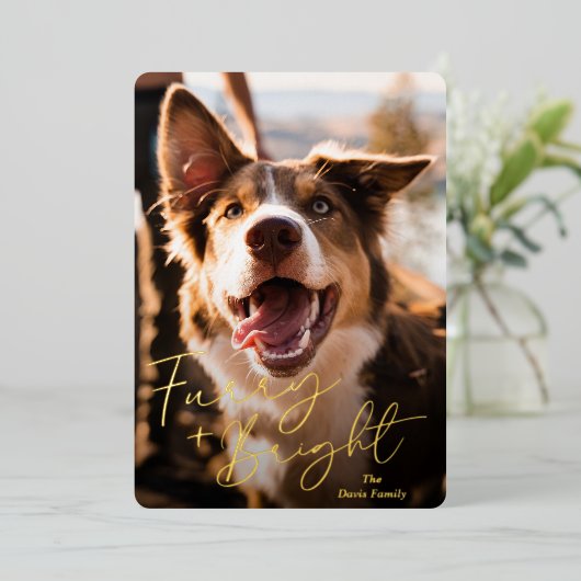 かわいい犬の写真のモダンクリスマス 箔シーズンカード (立ち正面)