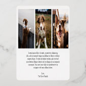 かわいい犬の写真のモダンクリスマス 箔シーズンカード (裏面)