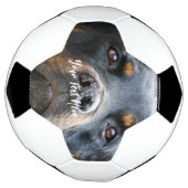 かわいい犬の写真サッカーボールを追加 サッカーボール (回転)