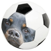 かわいい犬の写真サッカーボールを追加 サッカーボール (3/4)