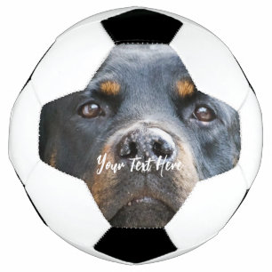 かわいい犬の写真サッカーボールを追加 サッカーボール