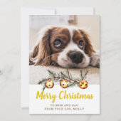 かわいい犬の写真メリークリスマスママパパ金ゴールド シーズンカード (正面)