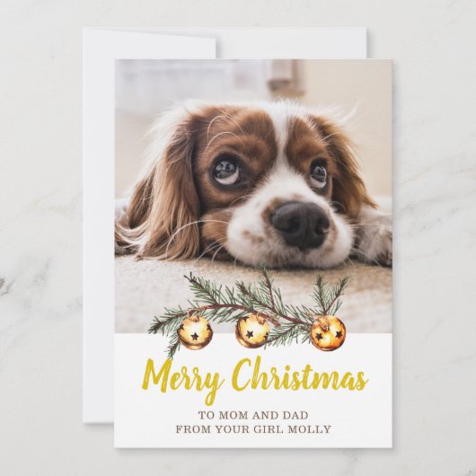 かわいい犬の写真メリークリスマスママパパ金ゴールド シーズンカード (正面)