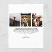 かわいい犬の写真モダンクリスマスカード (裏面)