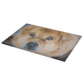 かわいい犬の写真切り板 カッティングボード (角)