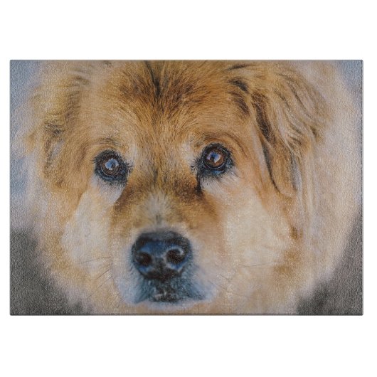 かわいい犬の写真切り板 カッティングボード (正面)