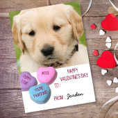 かわいい犬の写真教室バレンタインキャンディハート シーズンポストカード