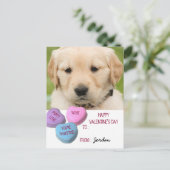 かわいい犬の写真教室バレンタインキャンディハート シーズンポストカード (スタンド正面)