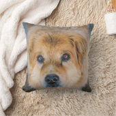 かわいい犬の写真 クッション (ブランケット)