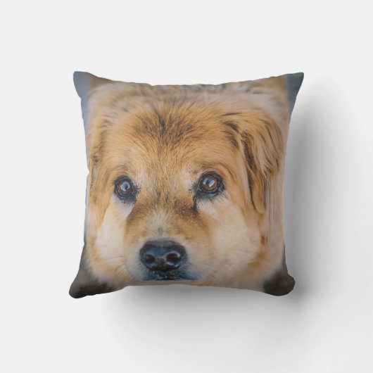 かわいい犬の写真 クッション (裏面)