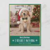 かわいい犬の写真 クリスマス ホリデー ポストカード (正面)