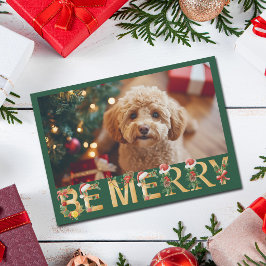かわいい犬の写真 クリスマス メリー ペット