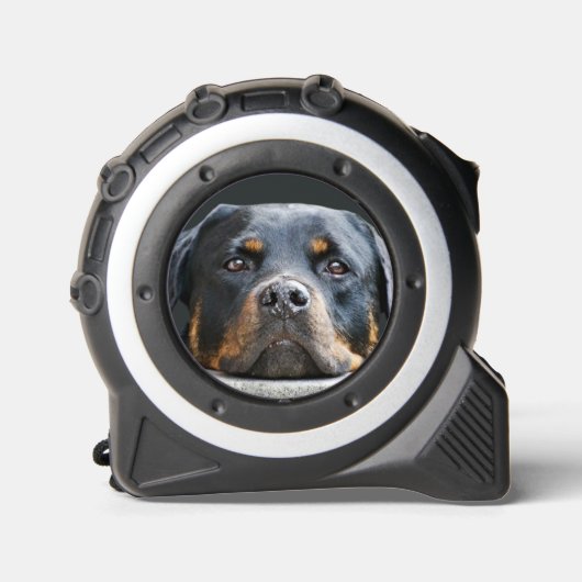 かわいい犬の写真 メジャー (正面)