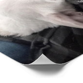 かわいい犬の写真 最高のパパ ポスター (角)