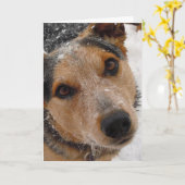 かわいい犬の卒業おめでとう カード (黄色い花)