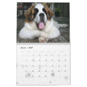 かわいい犬の品種セントバーナードの子犬カレンダー カレンダー (3月 2027)