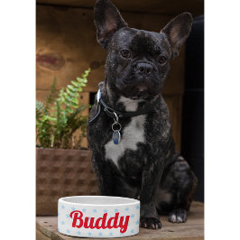 かわいい犬の子犬ねこ子猫ペット名ブルースターズ食べ物 ボウル