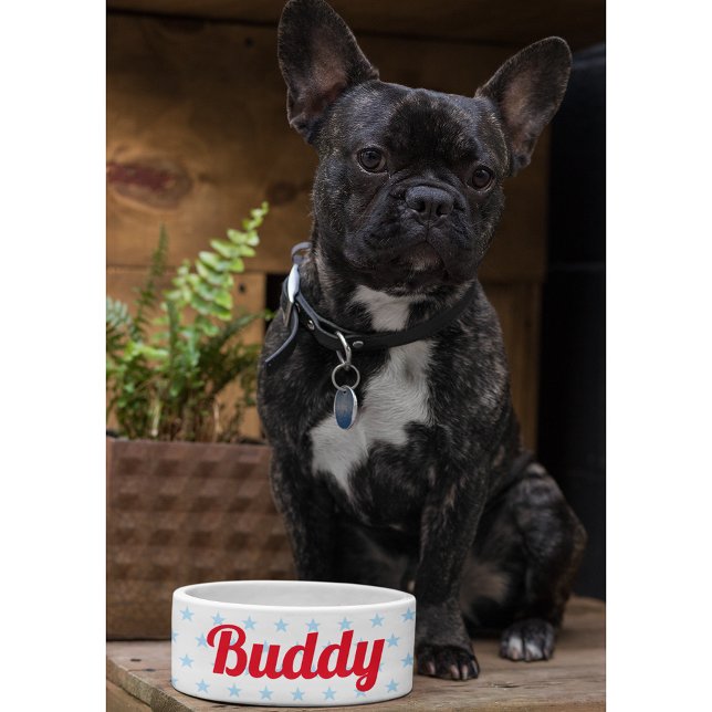 かわいい犬の子犬ねこ子猫ペット名ブルースターズ食べ物 ボウル (Cute Dog Puppy Cat Kitty Pet Name Blue Stars Food Bowl)