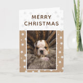 かわいい犬の子犬の写真スターメリークリスマス シーズンカード (正面)