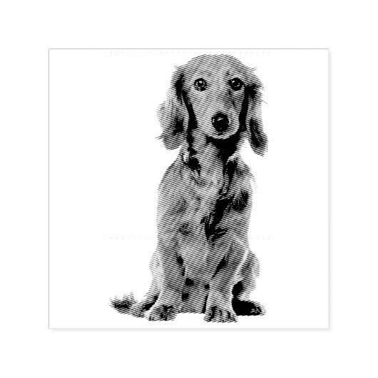 かわいい犬の子犬コッカー セルフインキングスタンプ (デザイン)