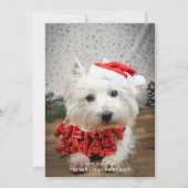 かわいい犬の子犬メリークリスマスカード シーズンカード (正面)